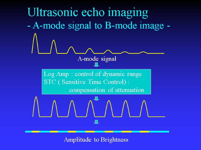 Ultrasonic echo imaging - A-mode signal to B-mode image - Log Amp : control